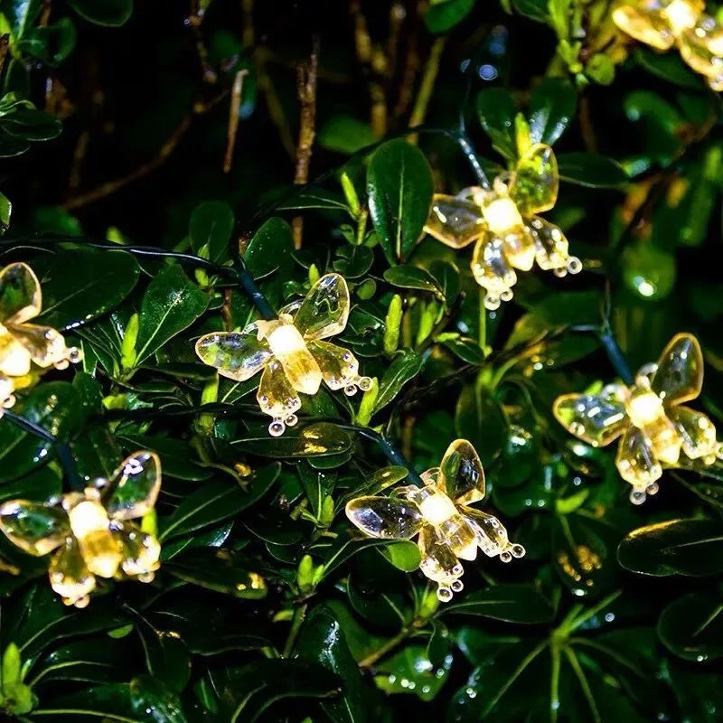 Solar Fairy Lights