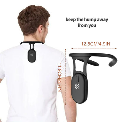 Back Support Brace