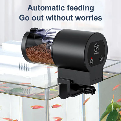 Automatic Fish Feeder